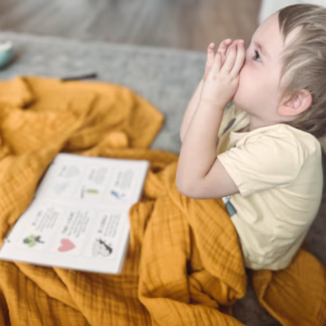 Calm Down Workbook, Calming Corner Tool Kit for Kids, Regulation for Toddlers and Preschool, Learn Feelings and Emotions