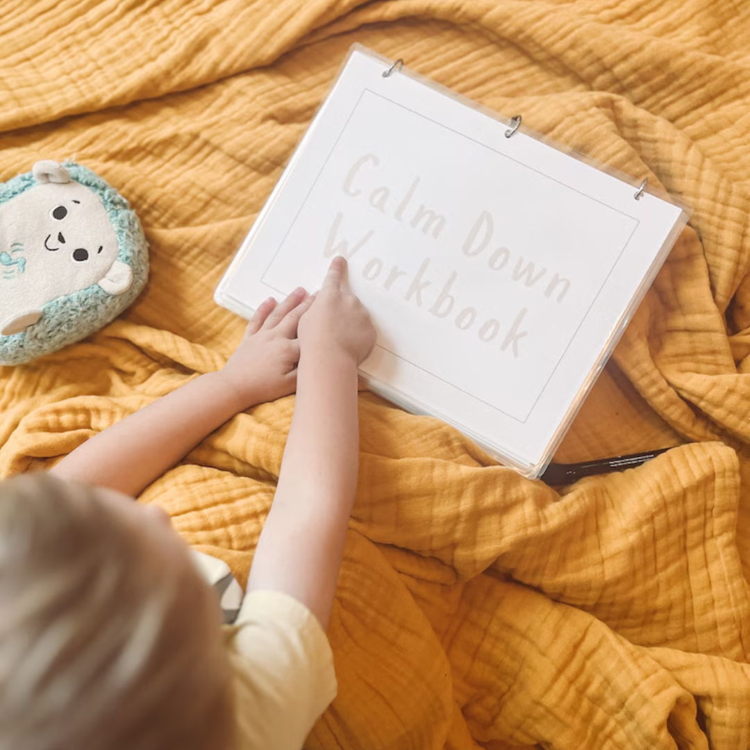 Calm Down Workbook, Calming Corner Tool Kit for Kids, Regulation for Toddlers and Preschool, Learn Feelings and Emotions