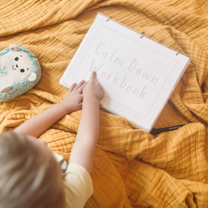 Calm Down Workbook, Calming Corner Tool Kit for Kids, Regulation for Toddlers and Preschool, Learn Feelings and Emotions