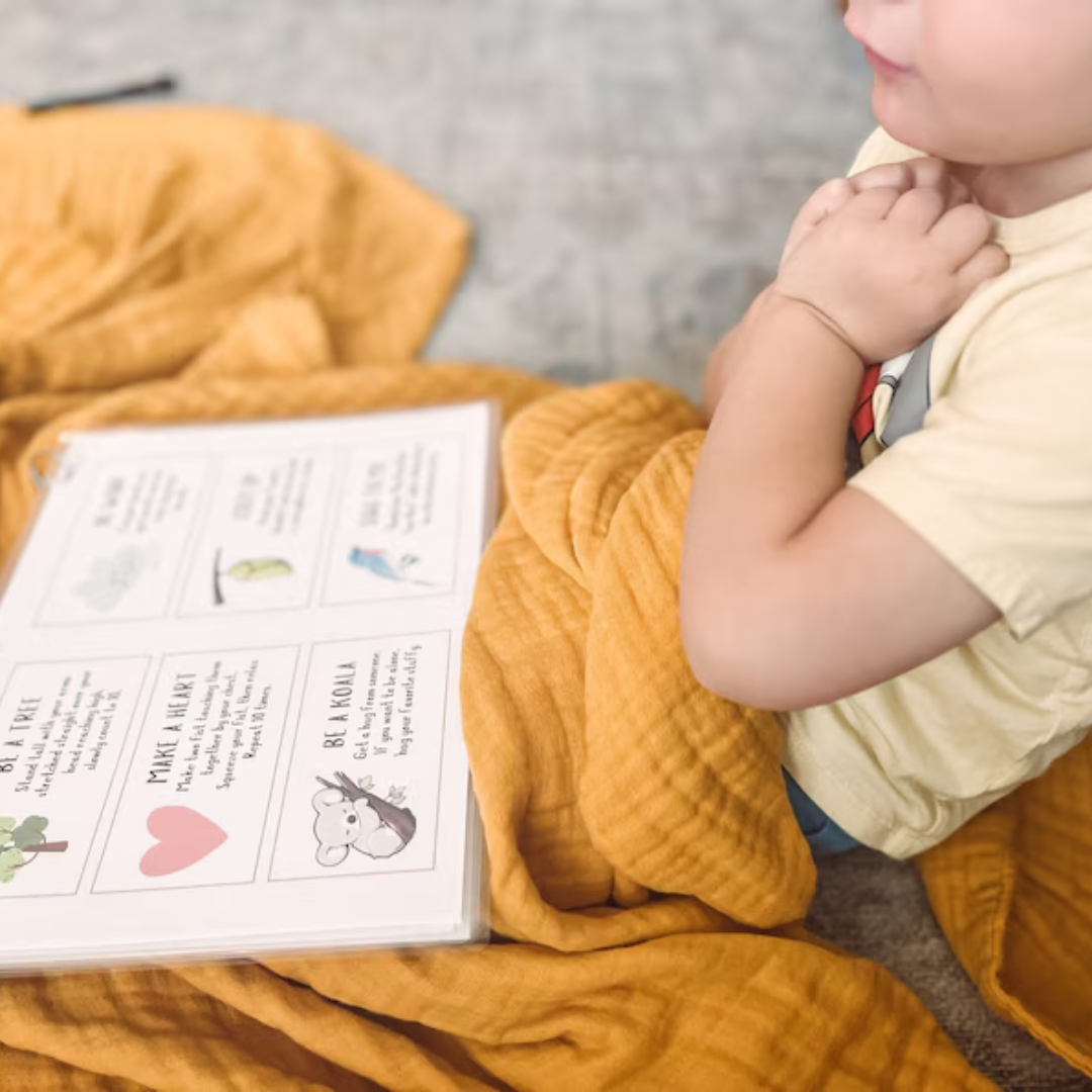 Calm Down Workbook, Calming Corner Tool Kit for Kids, Regulation for Toddlers and Preschool, Learn Feelings and Emotions
